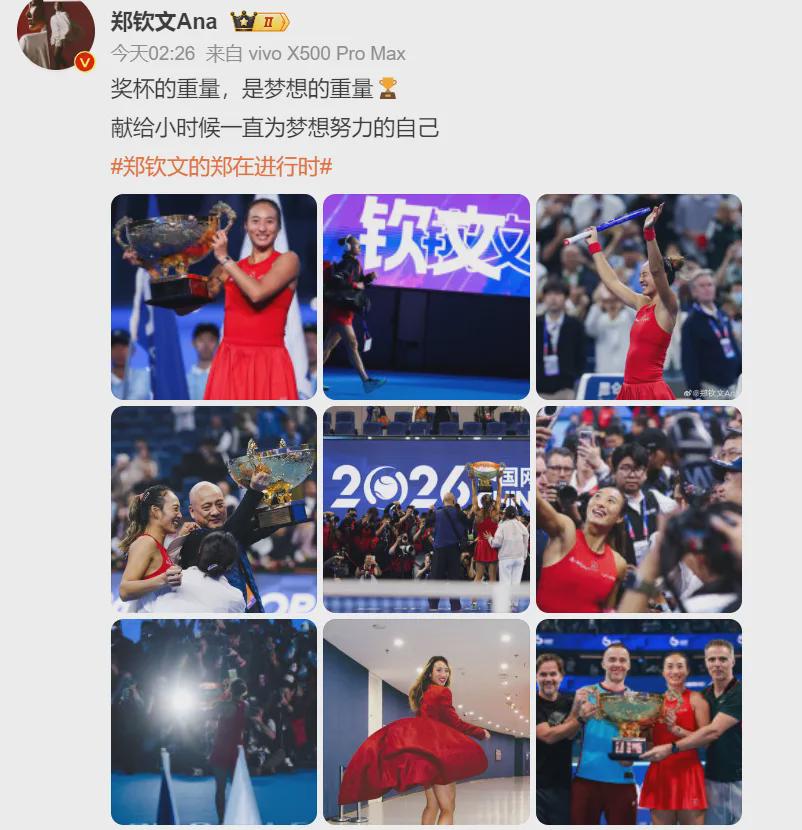 王楚钦发言后的最后一个眼神,我突然理解,樊振东为什么不回来了